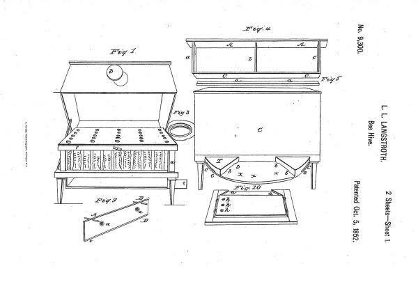 Line illustration of L. L. Langstroth's Bee Hive Patent, from 1852. 